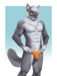  2019 3:4 abs anthro bulge chest_tuft clothed clothing domestic_cat felid feline felis hair hi_res jaykat male mammal muscular neck_tuft partially_clothed pecs simple_background solo speedo standing swimwear tuft 