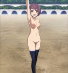  1girl brown_eyes brown_hair highres infinite_stratos nipples nude pussy 