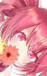 1girl close-up commentary_request covered_mouth dot_nose drill_hair expressionless eyebrows_visible_through_hair eyelashes face flower hair_between_eyes highres kasane_teto looking_at_viewer red_eyes red_flower red_hair simple_background solo twintails upper_body upside-down utau white_background xaruex yellow_flower 