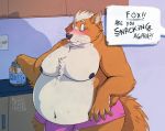  2019 anthro belly big_belly blush bulge canid canine clothed clothing cookie cookie_jar dialogue flying_sweatdrops food fox fox_mccloud fur holding_food holding_object inside male mammal moobs navel nintendo nipples obese obese_male orange_fur overweight overweight_male skaifox solo speech_bubble star_fox surprise sweat sweatdrop topless underwear unseen_character video_games white_fur 