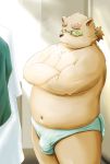  2019 anthro blue_eyes bulge butt clothing eyewear fur glasses kiyo leib_(tas) male mammal overweight overweight_male polar_bear solo tokyo_afterschool_summoners underwear ursid ursine video_games white_fur 