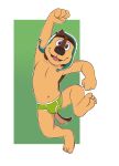  2018 4_fingers 4_toes anthro barefoot biped bodi brown_eyes brown_fur bulge canid canine canis clothed clothing digital_media_(artwork) domestic_dog feet fist front_view full-length_portrait fur green_background green_clothing green_underwear hair hat headgear headwear hi_res humanoid_feet jumping livestock_guardian_dog looking_at_viewer male mammal molosser mountain_dog multicolored_fur navel open_mouth pastoral_dog portrait rock_dog sherpa_hat simple_background soles solo suspended_in_midair tan_fur tibetan_mountain_dog toes tongue touyakemone two_tone_fur underwear white_background 