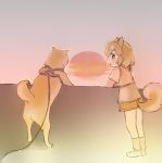  2019 against_wall ambiguous_gender animal_humanoid anus barely_visible_anus barely_visible_genitalia biped blush bottomwear breasts brown_eyes canid canid_humanoid canine canine_humanoid canis clothed clothing curled_tail digital_drawing_(artwork) digital_media_(artwork) dog_humanoid domestic_dog domestic_dog_(kemono_friends) duo ears_back female feral footwear full-length_portrait fully_clothed fur furgonomics hair hair_highlights harness humanoid iceeye_ena japanese kemono_friends leash legwear light light_skin looking_back mammal multicolored_hair on_hind_legs open_mouth orange_bottomwear orange_clothing orange_fur orange_hair orange_shorts orange_tail orange_theme orange_topwear pivoted_ears portrait quadruped shadow shiba_inu shoes short_hair shorts sky socks spitz standing sun sunlight sunset surprise sweater_vest tail_button_bottoms tail_clothing tan_skin topwear two_tone_hair warm_colors white_hair white_highlights 