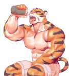  2019 abs anthro biceps clothing digital_media_(artwork) episode0006 felid fur hi_res male mammal muscular muscular_male nipples pantherine pecs scar simple_background tiger tongue tongue_out 
