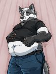  anthro belly black_fur canid canine claws clothed clothing fox fur hand_on_stomach jeans looking_down lukoi male mammal midriff navel overweight overweight_male pacato pants smile solo tight_clothing white_fur 