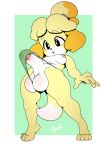  2018 animal_crossing anthro argento balls black_eyes blonde_hair blush blush_stickers breasts canid canine canis clothing dickgirl dipstick_tail domestic_dog hair half-erect hi_res humanoid_penis intersex isabelle_(animal_crossing) mammal multicolored_tail nintendo nipples panties penis shih_tzu solo toy_dog underwear video_games 