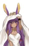  1girl animal_ears bangs blush breasts cleavage closed_mouth dark_skin earrings eyebrows_visible_through_hair facial_mark fate/grand_order fate_(series) hair_between_eyes highres hoop_earrings jackal_ears jewelry long_hair looking_at_viewer mochii nitocris_(fate/grand_order) nitocris_(swimsuit_assassin)_(fate) one-piece_swimsuit purple_eyes purple_hair sidelocks signature simple_background sketch smile solo swimsuit upper_body very_long_hair white_background white_swimsuit wristband 