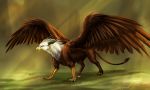  2019 avian brown_feathers claws day digital_media_(artwork) feathered_wings feathers feral grass gryphon hi_res horn outside solo standing wings wrappedvi yellow_back yellow_eyes 