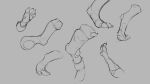  16:9 2018 ambiguous_gender anthro canid canine clothing digitigrade foot_shot grey_background group hi_res legwear mammal monochrome simple_background socks torn_clothing transformation watsup 