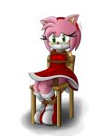  absurd_res amy_rose bdsm bondage bound breasts clothed clothing darkman-zero eulipotyphlan female fully_clothed gag gagged hedgehog hi_res looking_at_viewer mammal rope rope_bondage simple_background solo sonic_(series) 