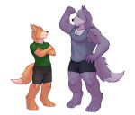  anthro canid canine canis clothed clothing flexing fox fox_mccloud fully_clothed male mammal muscular muscular_male nintendo size_difference star_fox video_games wolf wolf_o&#039;donnell zevrai 