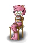  5_toes absurd_res amy_rose bar bdsm bondage bound breasts clothed clothing darkman-zero eulipotyphlan female gag gagged hedgehog hi_res lingerie looking_at_viewer mammal panties rope rope_bondage simple_background solo sonic_(series) toes underwear 