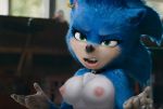  breasts crossgender ear_piercing ear_ring edit eulipotyphlan female ftm_crossgender hedgehog mammal nipples nude piercing shadman solo sonic_(series) sonic_the_hedgehog 