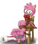  5_toes absurd_res amy_rose barefoot bdsm bondage bound breasts clothed clothing darkman-zero eulipotyphlan female fully_clothed gag gagged hedgehog hi_res looking_at_viewer mammal rope rope_bondage simple_background solo sonic_(series) tape tape_gag tears toes toes_tied 