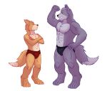  abs anthro canid canine canis clothing flexing fox fox_mccloud jockstrap male mammal mostly_nude muscular muscular_male nintendo nipples size_difference star_fox underwear video_games wolf wolf_o&#039;donnell zevrai 