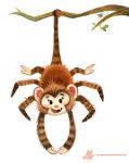  arachnid arthropod branch cryptid-creations hybrid mammal monkey primate smile solo spider 