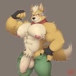  1:1 absurd_res anthro armpit_hair balls big_pecs big_penis canid canine clothed clothing flexing fox fox_mccloud hi_res humanoid_penis male mammal muscular muscular_male nintendo nipples pecs penis solo star_fox sugaryhotdog topless uncut video_games 