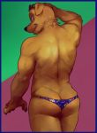  anthro back_muscles bird_dog bojack_horseman brown_fur butt butt_pose canid canine canis clothed clothing digital_media_(artwork) domestic_dog eyewear fur glitter_trap_boy grin happy hi_res hunting_dog labrador looking_at_viewer looking_back male mammal mr._peanutbutter muscular muscular_male portrait pose rear_view retriever skimpy smile solo speedo sunglasses swimwear three-quarter_portrait topless yellow_fur 