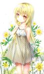  1girl bangs bare_arms bare_shoulders blonde_hair blurry blurry_background brown_eyes collarbone commentary_request depth_of_field dress eyebrows_visible_through_hair flower hair_between_eyes hair_flower hair_ornament hair_ribbon jewelry long_hair original pendant polka_dot ribbon see-through shiraki_shiori sleeveless sleeveless_dress solo very_long_hair white_dress white_ribbon x_hair_ornament yellow_flower 