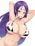  1girl animal_print armpits arms_behind_head bangs bikini_in_mouth bikini_top blush bottomless breasts covered_nipples cow_print dutch_angle fate/grand_order fate_(series) heavy_breathing huge_breasts kuavera long_hair looking_at_viewer minamoto_no_raikou_(fate/grand_order) mouth_hold parted_bangs purple_eyes purple_hair simple_background solo very_long_hair white_background 