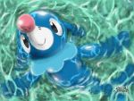  black_eyes closed_mouth creatures_(company) from_above full_body game_freak gen_7_pokemon happy japanese_text looking_up lying nintendo no_humans on_back partially_submerged pokemon pokemon_(creature) popplio shiny shiny_skin smile solo sunaxet swimming translation_request water watermark 