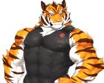  2019 abs anthro biceps canid canine canis captainjohkid clothed clothing digital_media_(artwork) felid fur hi_res male mammal muscular muscular_male pantherine pecs simple_background solo tiger 