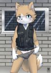  anthro blue_eyes blush bulge canid canine canis clothing cub cubboard fur gun handgun inner_ear_fluff interrogation_room kemono looking_at_viewer male mammal officer pistol police ranged_weapon solo standing underwear undressing vest weapon wolf young 