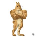  4_toes anthro biceps brown_eyes crossed_arms front_view full-length_portrait fur hare lagomorph leporid looking_at_viewer male mammal multicolored_fur muscular muscular_male pecs portrait quads semi-anthro solo standing taku tan_fur toes two_tone_fur 