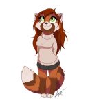  2019 ailurid anthro brown_hair clothed clothing d_vixie dennyvixen digital_media_(artwork) female fur green_eyes hair mammal orange_fur red_panda smile solo standing 