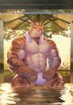  2019 abs anthro biceps bozi clothing detailed_background felid fur hair hi_res male mammal muscular muscular_male navel nipples pantherine pecs solo tiger water 