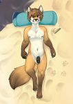  absurd_res anthro balls bastion canid canine flaccid fox hi_res humanoid_penis lying male mammal nipples nude penis sand solo 