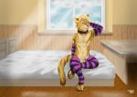  absurd_res animal_genitalia bed clothing digital_media_(artwork) domestic_cat felid feline felis girly hi_res legwear male mammal nude sheath solo stockings tygrysiolowek 