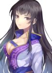  1girl black_hair breasts brown_eyes cleavage closed_mouth fire_emblem fire_emblem:_rekka_no_ken jurge karla large_breasts long_hair simple_background solo upper_body white_background 