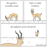  1:1 ambiguous_gender antelope border bovid comic english_text feral fur gazelle grass grey_fur horn mammal multicolored_fur side_view tan_fur text theycantalk url white_border white_fur 