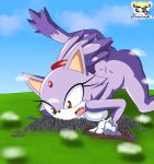  all_fours ass_up blaze_the_cat dipstick_tail felid feline fur hair_tie hi_res macro mammal multicolored_tail nude purple_fur sonic_(series) the_knight yellow_eyes 