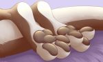  3_toes feet foot_focus hi_res krazykurt lutrine mammal mustelid pawpads paws soles toes 