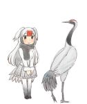  2018 ambiguous_gender animal_humanoid avian avian_humanoid beak biped bird bird_feet black_feathers blush bottomwear breasts brown_eyes clothed clothing crane_(bird) crane_humanoid duo feathered_wings feathers female feral folded_wings full-length_portrait fully_clothed grey_beak grey_bottomwear grey_clothing grey_feathers grey_hair grey_highlights grey_legwear grey_skirt grey_tail grey_wings gruiform gruiform_humanoid grus_(genus) hair hair_highlights hatching_(art) head_wings humanoid iceeye_ena japanese kemono_friends larger_ambiguous larger_feral legwear light_skin light_theme long_legs long_neck multicolored_feathers multicolored_hair pattern_clothing plaid plaid_clothing portrait red-crowned_crane red-crowned_crane_(kemono_friends) red_feathers red_hair red_highlights scarf shadow simple_background size_difference skirt smaller_female smaller_humanoid smile standing tail_feathers tan_skin thigh_highs topwear white_background white_clothing white_feathers white_hair white_topwear white_wings wings 