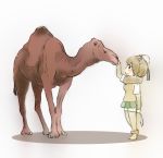  2019 3_toes absolute_territory ambiguous_gender animal_humanoid arm_warmers armwear biped blush boots bottomwear breasts brown_armwear brown_clothing brown_fur brown_hair brown_tail brown_topwear camel camel_humanoid camelid camelid_humanoid clothed clothing dromedary dromedary_(kemono_friends) duo eye_contact fatty_humps female feral footwear full-length_portrait fully_clothed fur fur_trim_(clothing) green_bottomwear green_clothing green_skirt hair hair_bow hair_bun hair_ribbon hatching_(art) head_grab hi_res humanoid iceeye_ena japanese kemono_friends larger_ambiguous larger_feral legwear light_skin long_neck looking_at_another mammal multicolored_hair pleated_skirt portrait quadruped raised_arm ribbons shadow short_hair side_view simple_background size_difference skirt smaller_female smaller_humanoid smile snout socks standing sweater_vest tail_tuft tan_skin thigh_highs thigh_socks toes topwear tuft two_tone_hair white_background white_hair white_tail 