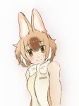  2019 animal_humanoid bare_shoulders biped blush bow_tie breasts brown_ears brown_hair brown_highlights bust_portrait canid canid_humanoid canine canine_humanoid clothed clothing dhole_(kemono_friends) dhole_humanoid eyebrow_through_hair eyebrows female foreshortening fully_clothed hair hair_highlights hatching_(art) head_tilt hi_res humanoid iceeye_ena japanese kemono_friends light_skin looking_at_viewer mammal multicolored_hair perspective portrait prick_ears shadow shirt short_hair simple_background smile solo tan_hair tan_skin topwear translucent translucent_hair two_tone_hair white_background white_clothing white_hair white_highlights white_shirt white_topwear yellow_eyes 