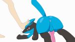  16:9 2019 ambiguous_gender animated anus balls blue_fur blush butt canid canine digital_media_(artwork) duo erection feet feral foot_fetish fur human interspecies loop lucario male male_focus mammal nintendo penis pok&eacute;mon pok&eacute;mon_(species) pok&eacute;philia presenting presenting_anus presenting_hindquarters raised_tail rear_view size_difference thick_thighs toes video_games wide_hips yourfren 