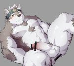  abs anthro balls biceps brown_fur canid canine canis chest_tuft fur headband hi_res horkeukamui lveink male mammal muscular muscular_male pecs penis simple_background solo tokyo_afterschool_summoners tuft video_games white_fur wolf yellow_eyes 