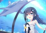  1girl :d animal aquarium bangs bare_arms bare_shoulders black_hair blue_eyes blush commentary_request dolphin dress eyebrows_visible_through_hair floating_hair hair_between_eyes indoors kouda_suzu long_hair object_hug open_mouth original shark sleeveless sleeveless_dress smile solo stuffed_animal stuffed_penguin stuffed_toy sundress very_long_hair water white_dress 