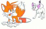  crossover kimba_the_white_lion sonic_team soraya tails 