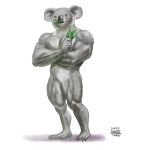  biceps black_nose crossed_arms featureless_crotch front_view full-length_portrait fur grey_fur koala leaf male mammal marsupial muscular muscular_male pecs portrait quads simple_background solo taku vombatiform white_background 