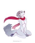  2019 ailuranthropy anthro black_nose black_pawpads canid canine canis digital_media_(artwork) eyes_closed female fur grey_fur kneeling mammal maria_whiteblood pawpads simple_background solo white_background wolf 