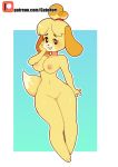  absurd_res animal_crossing anthro black_nose blonde_hair breasts canid canine canis domestic_dog female fur hair hi_res isabelle_(animal_crossing) mammal nintendo norithecat nude patreon pussy shih_tzu simple_background solo toy_dog video_games yellow_fur 
