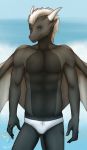  anthro beach dragon icy-marth male pinup pose seaside solo 