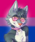  bisexual_pride_flag canid canine collar compression_artifacts eyewear male mammal pride_colors signature solo sunglasses tagme unknown_artist 