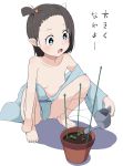  1girl blue_eyes breasts brown_hair commentary holding horn japanese_clothes kimono no_panties one_side_up open_mouth original plant potted_plant shacho_(ko_no_ha) shadow shirt_slip single_sleeve small_breasts solo squatting translated watering watering_can white_background 