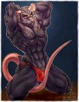  abs ada_oz anthro big_muscles black_fur buckteeth bulge clothing fur hi_res jockstrap kneeling male mammal murid murine muscular muscular_male obliques pubes rat rodent scar solo teeth underwear whiskers yellow_eyes 